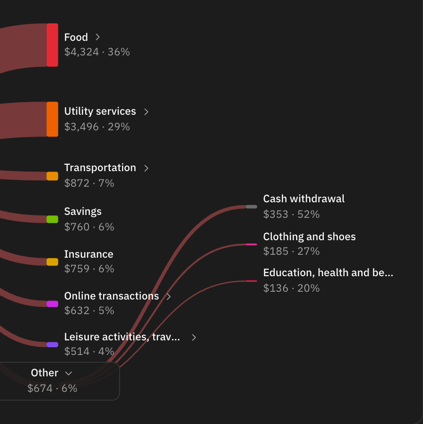 The expense side of Money Flow with Other opened: Other, 6% of spending, fans out into Cash withdrawal, Clothing and shoes, and Education, each with its share of Other